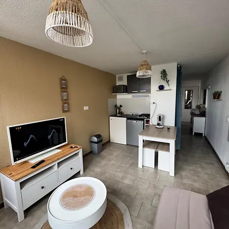 Apartman Du Pecheur - Piscine - 4 Personnes - Ile Des Pecheurs - Cap D'agde *
